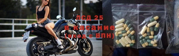 стаф Алзамай