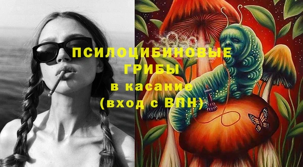 стаф Алзамай