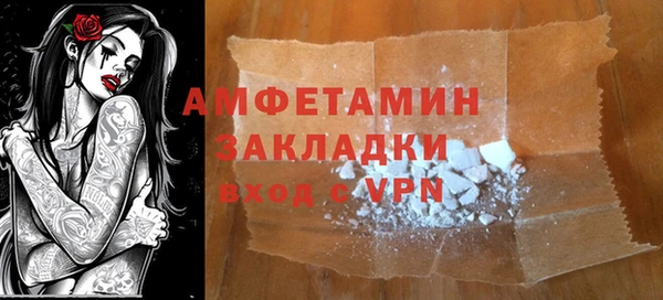 стаф Алзамай