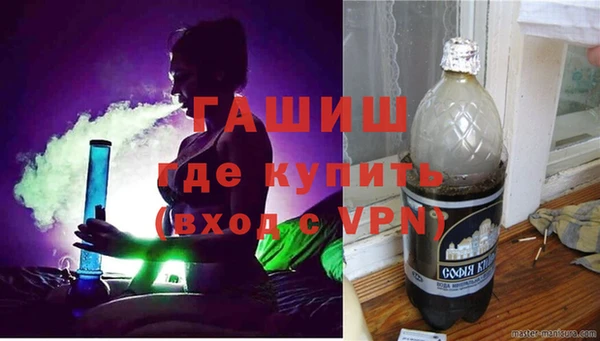 стаф Алзамай