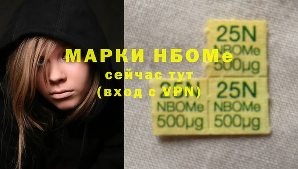 стаф Алзамай