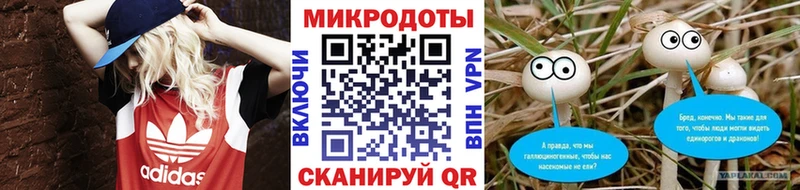 Псилоцибиновые грибы Cubensis блэк спрут как войти Мышкин